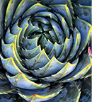 Collection Math'x TL S